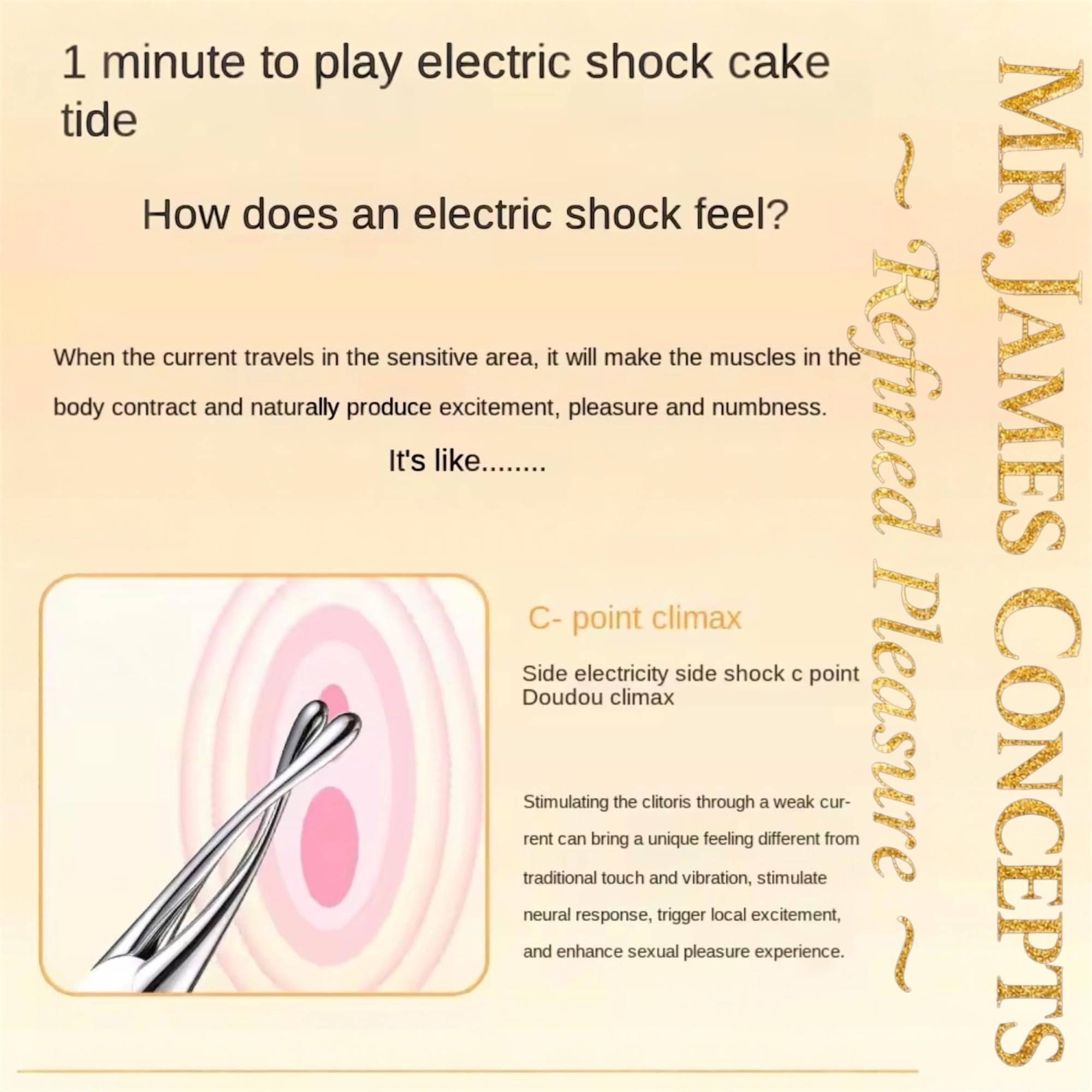 Mr James Concepts™ Electric Climax Pen – 10 Frequency Microcurrent Vibrator for Women, G-Spot & Clitoral Stimulator, Sonic Electric Shock Pleasure Stick, Premium Travel-Sized Toy